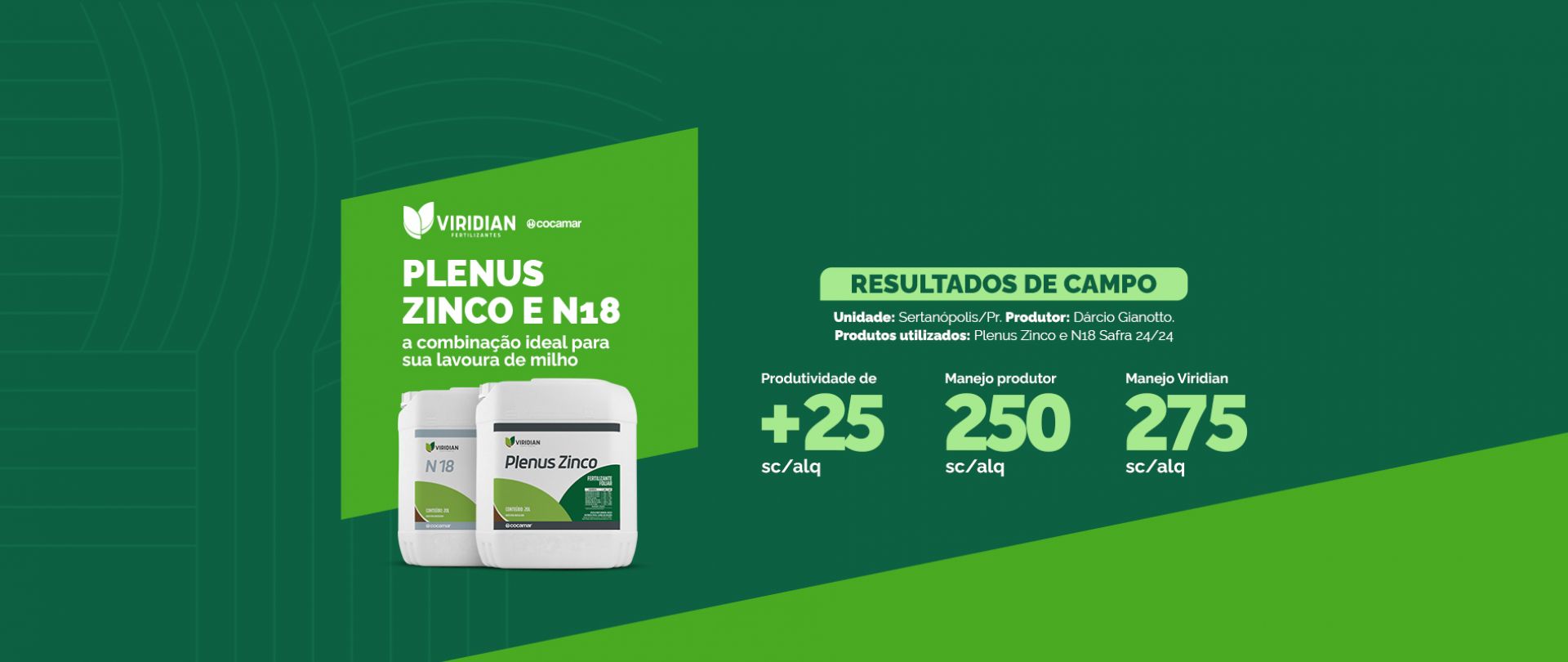 Resultados Milho