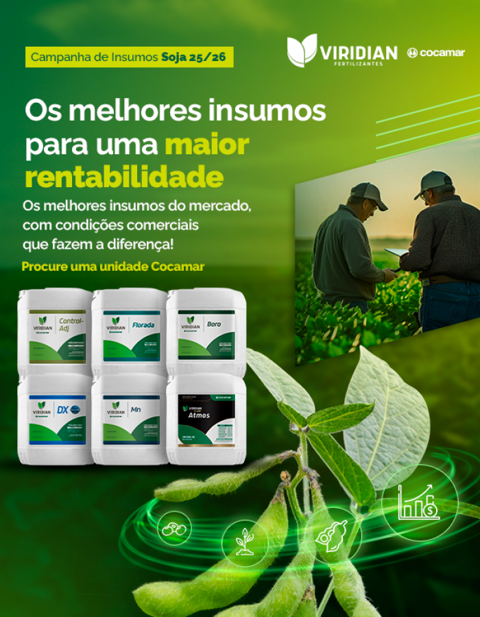 Campanha de Insumos Verão