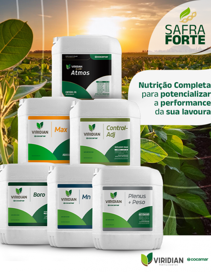Campanha Safra Forte 