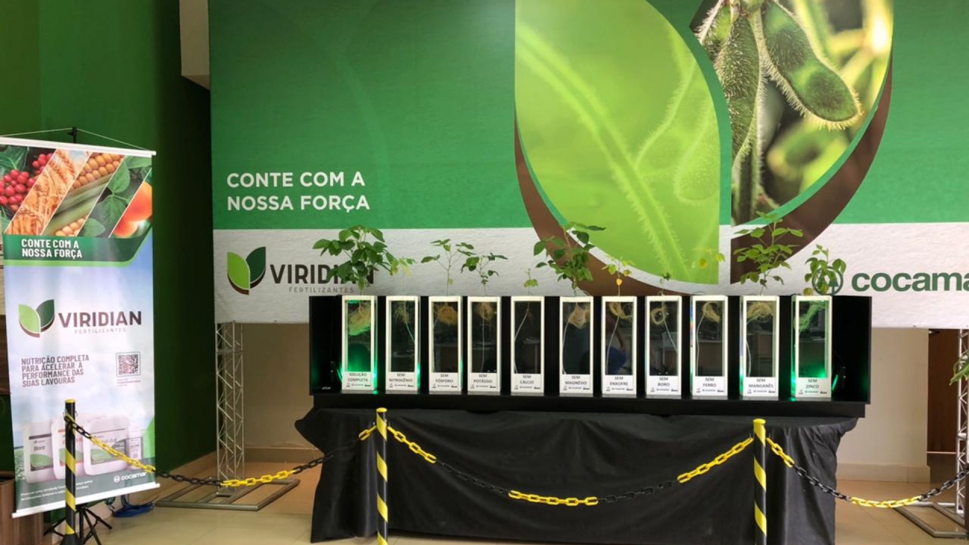 Exposição Viridian na Unidade Maringá