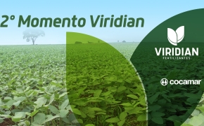 Vem aí o 2º Momento Viridian