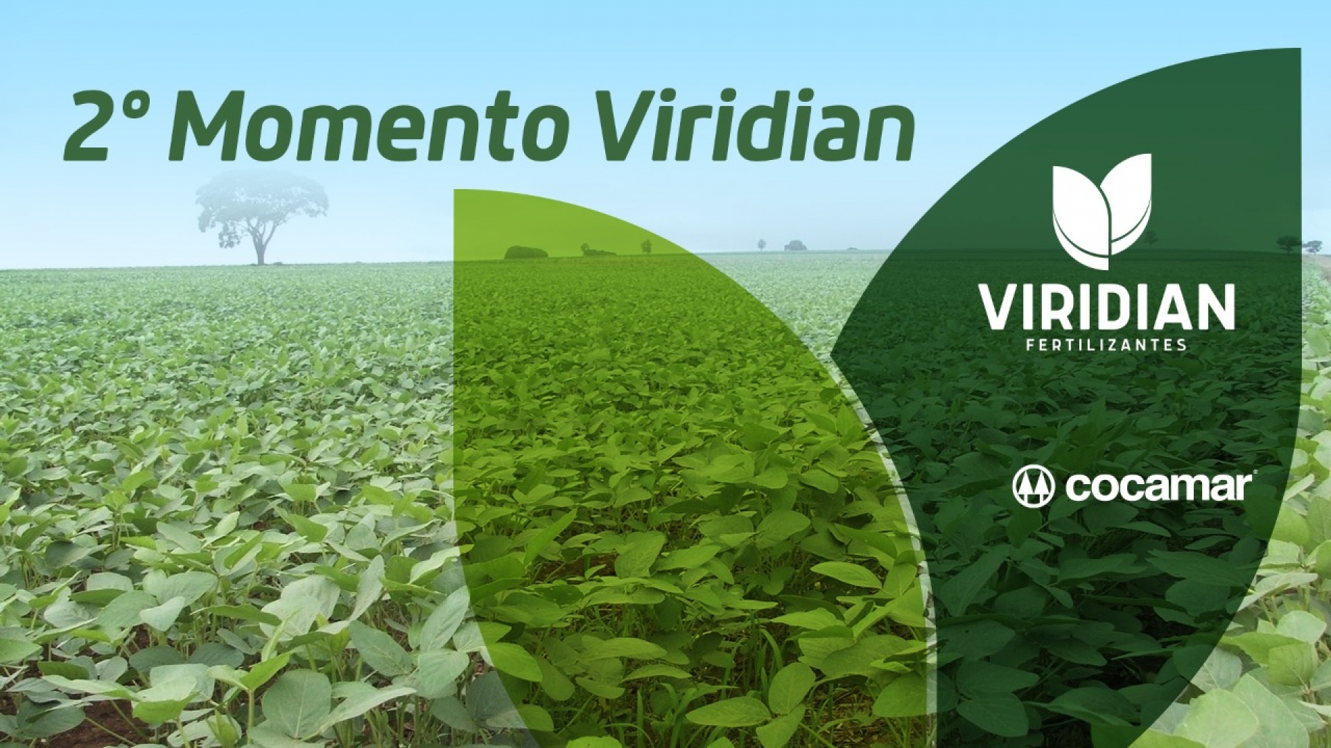 Vem aí o 2º Momento Viridian